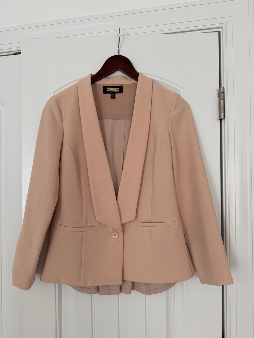 Greylin Women's Blush Pink Blazer Jacket with Pleated Back - XS